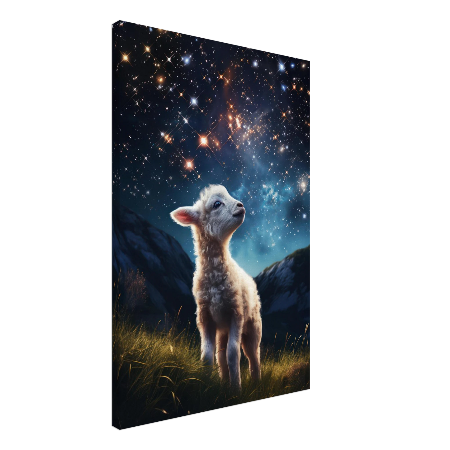 29c447da-af18-45be-8c2b-5056438fc2b8