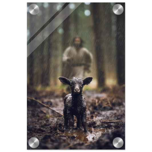 673ea67c-f3c6-4f49-a092-4fa20ff6bcec